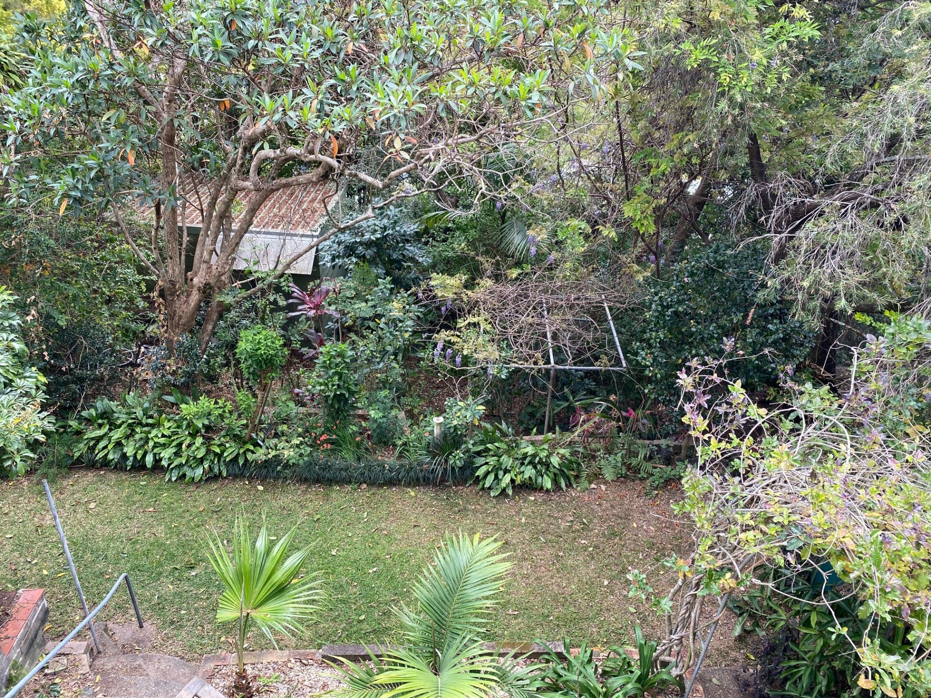 Image 7