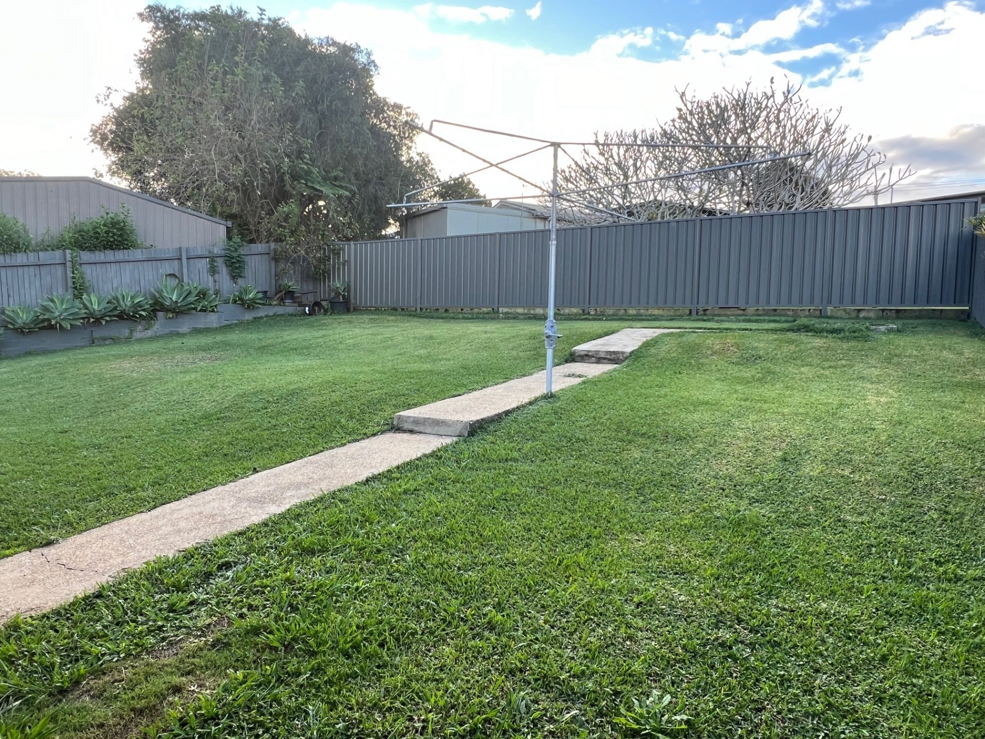 Image 12