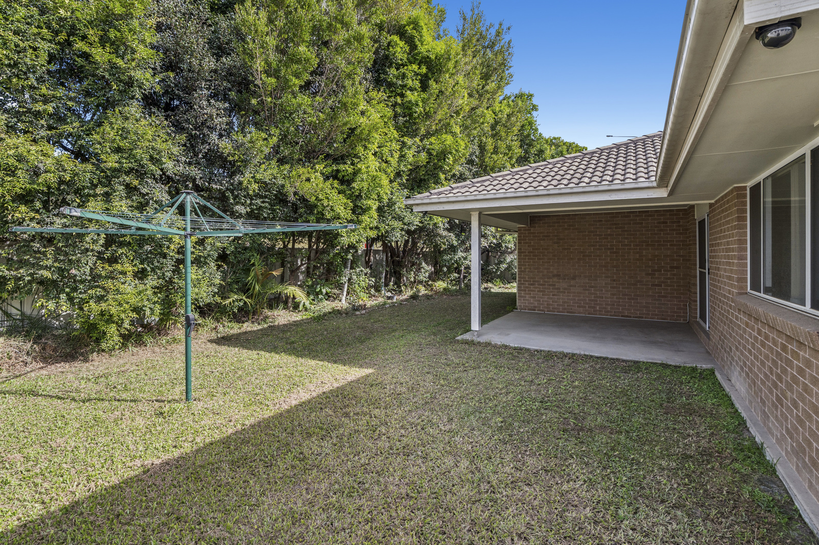 Image 13