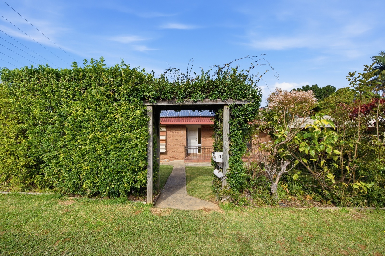 Image 15