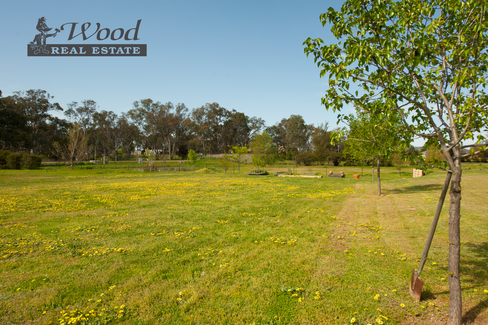 123 Pioneer Drive, Jindera > Wood Real Estate