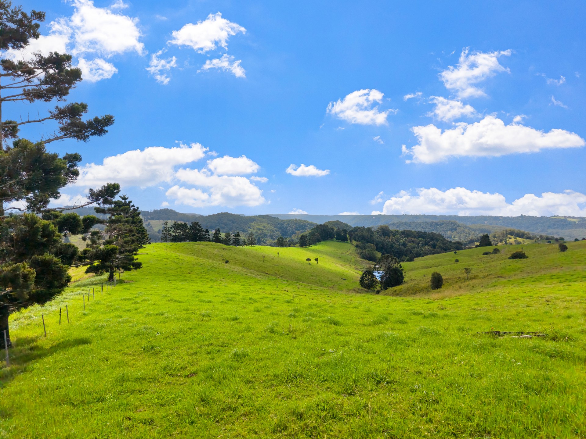 Lot 1 Tesch Road, Witta - Image 1
