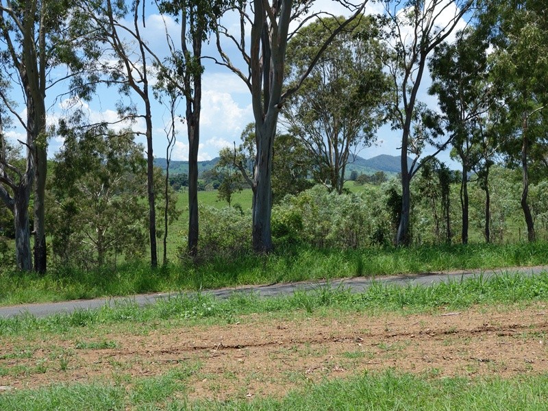 Image 9