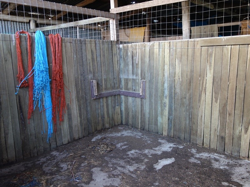 Image 12