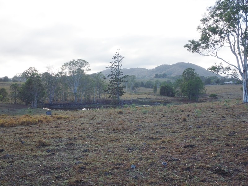 Image 13