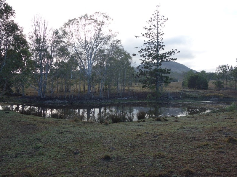 Image 14