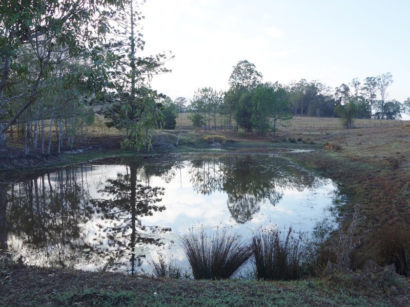 Image 15