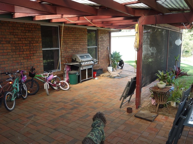 Image 15