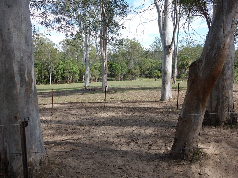 Image 18