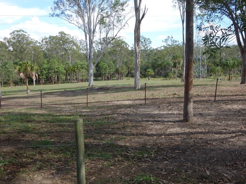 Image 19