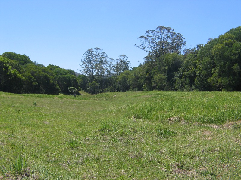 Image 10