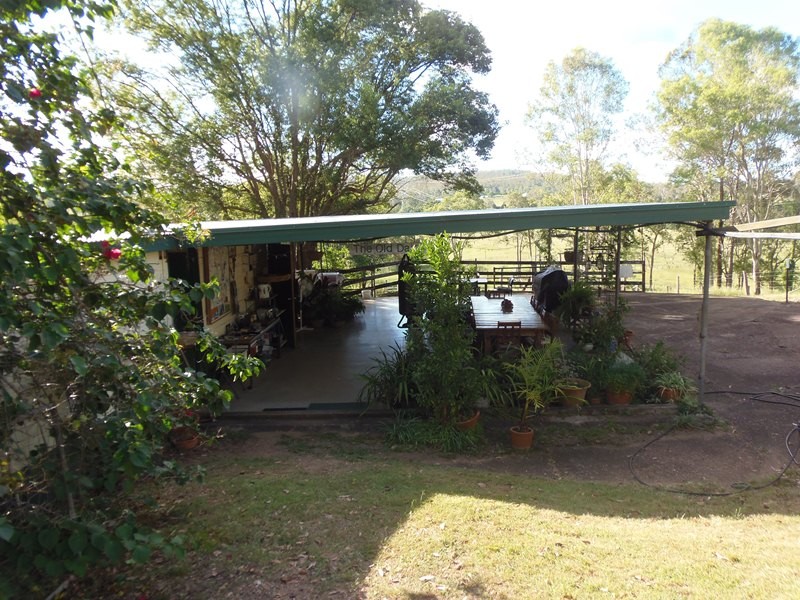 Image 7