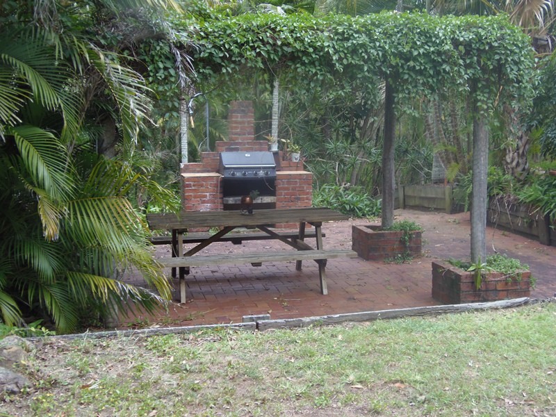 Image 8