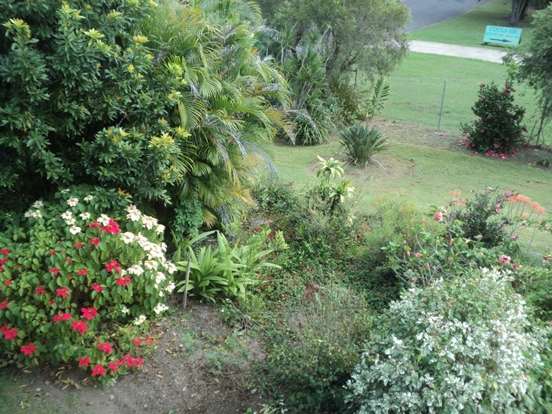 Image 8