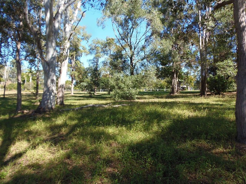 Image 8