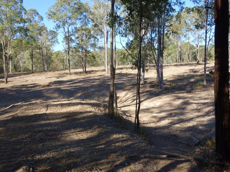 Image 11