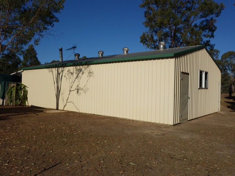 Image 4