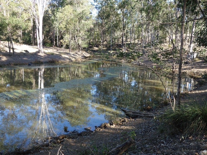 Image 6
