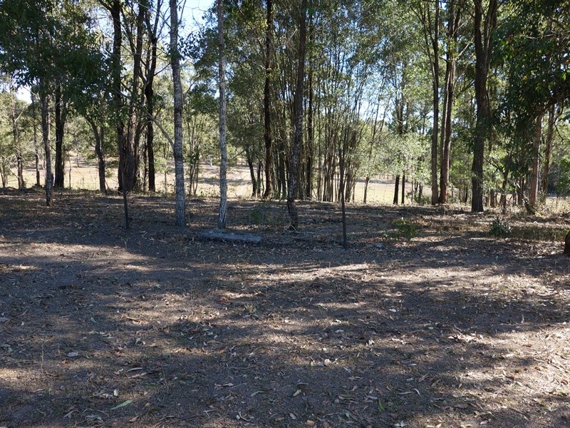 Image 10