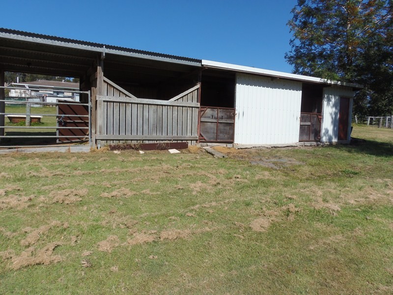 Image 8