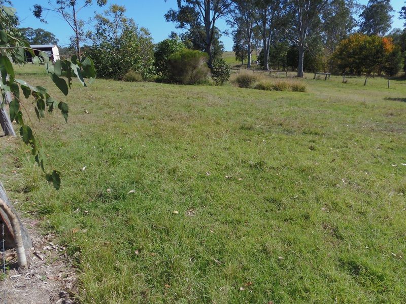 Image 11