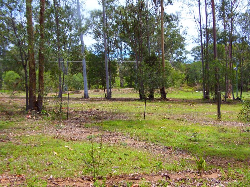 Image 6