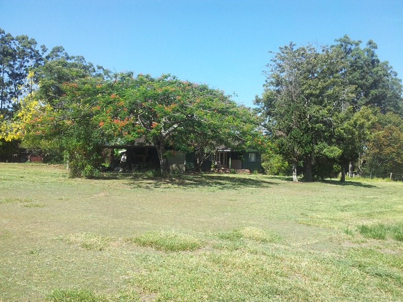 Image 1
