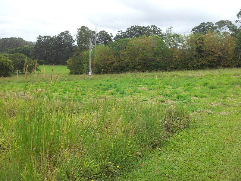 Image 11