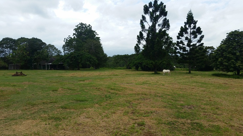 Image 13