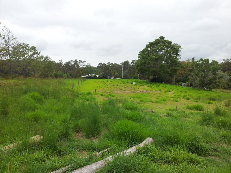 Image 14