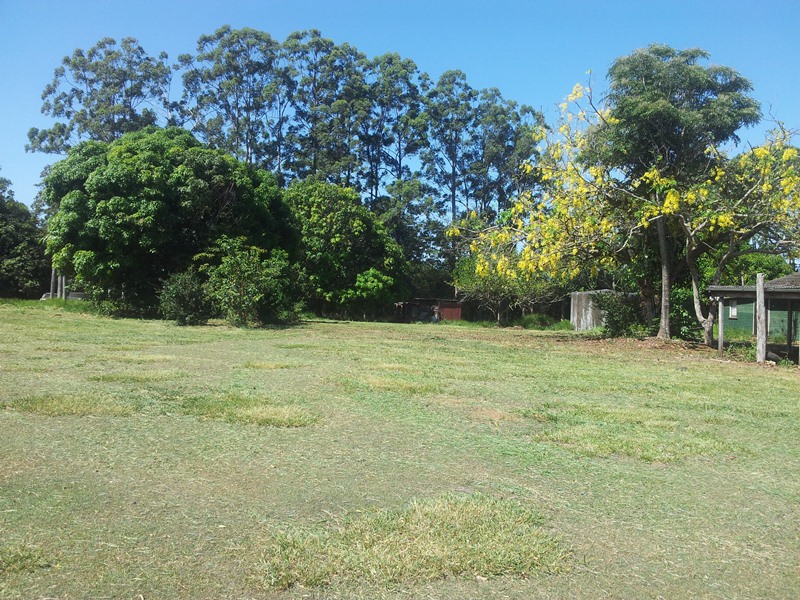 Image 17