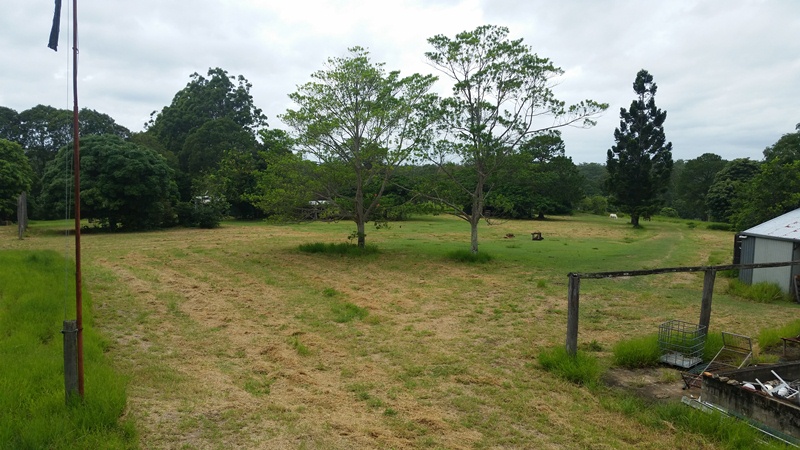 Image 19