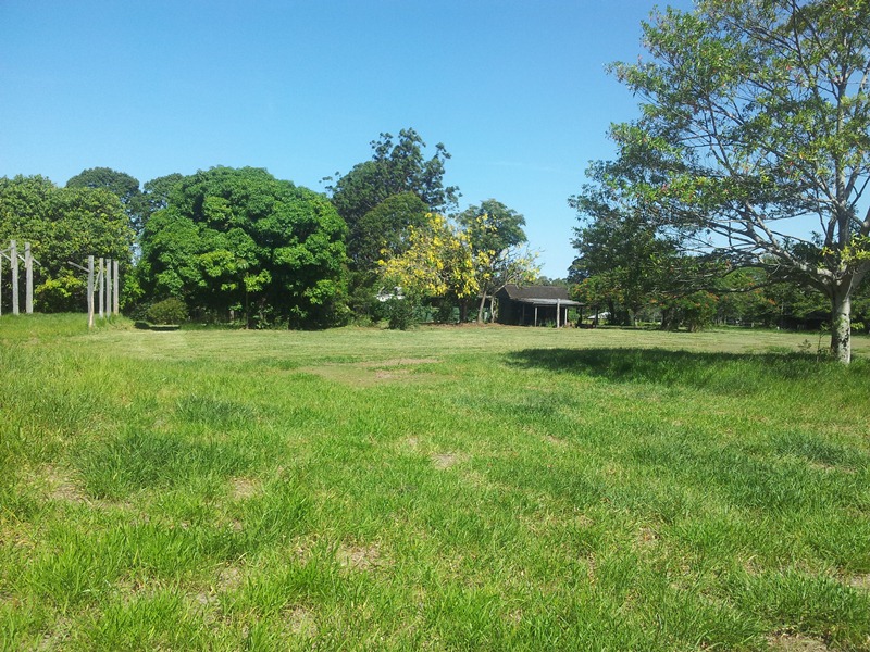 Image 20
