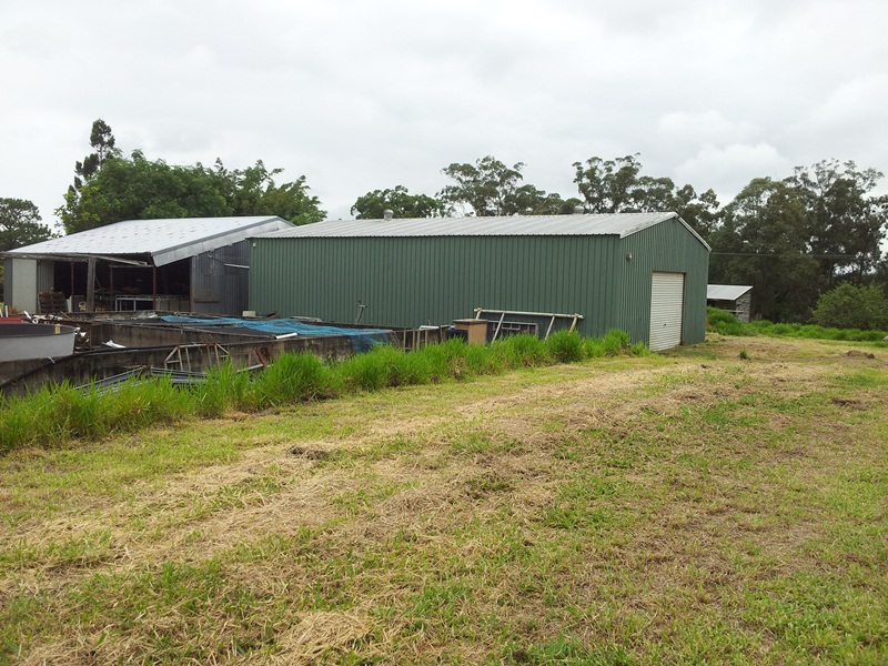 Image 6