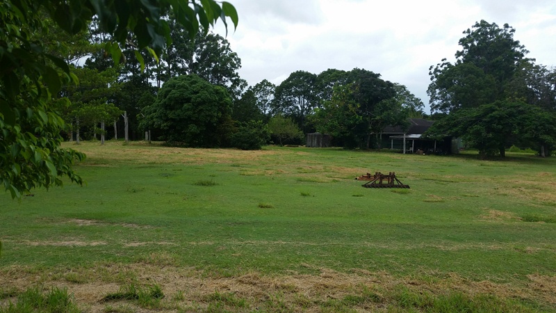 Image 8