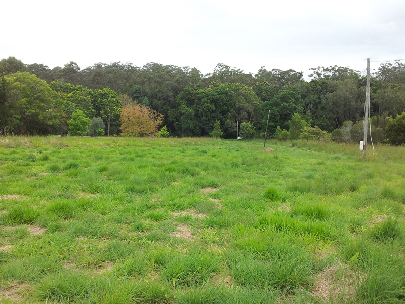 Image 10