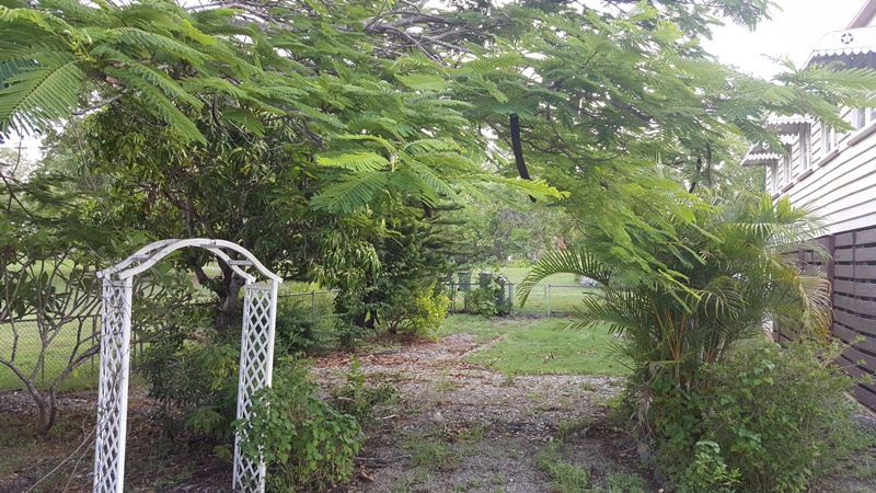 Image 10