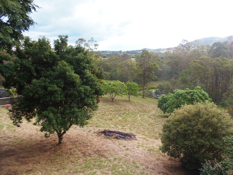 Image 13