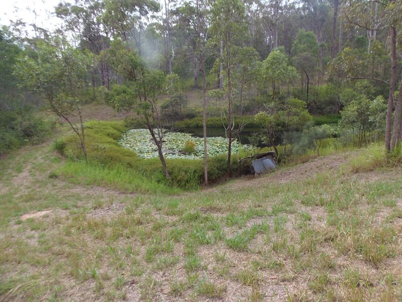 Image 18