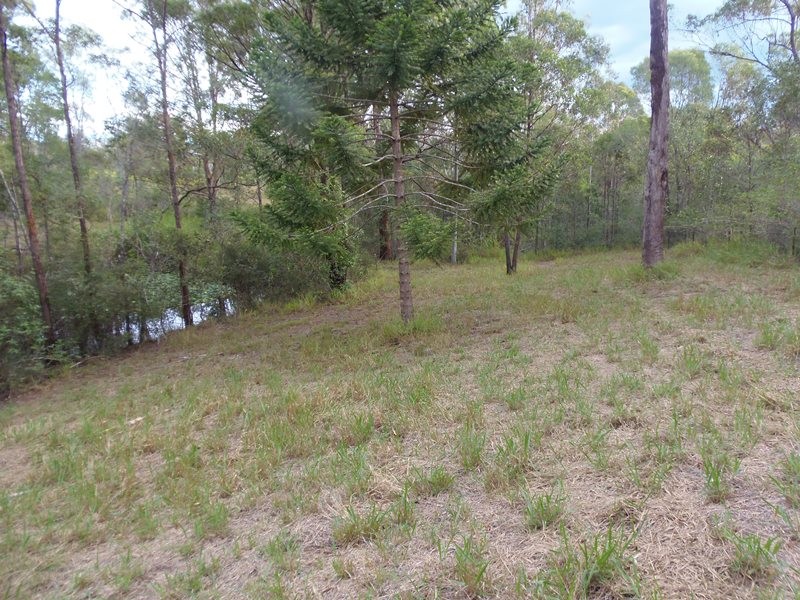 Image 19