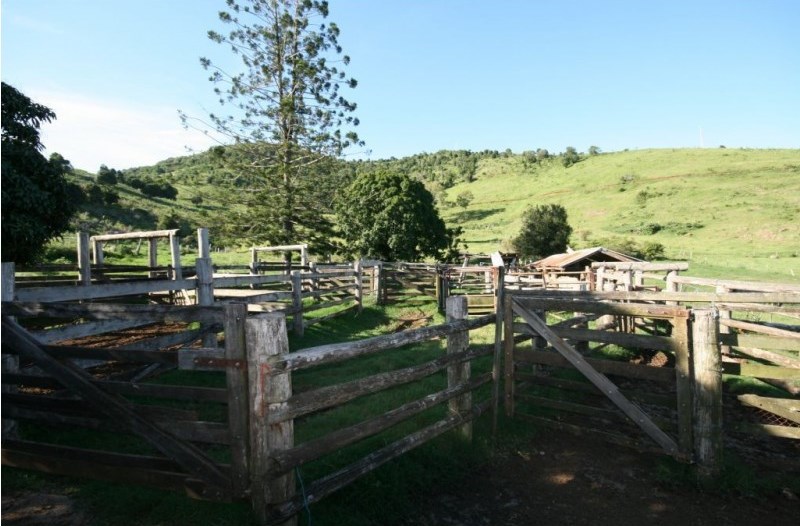 Image 12