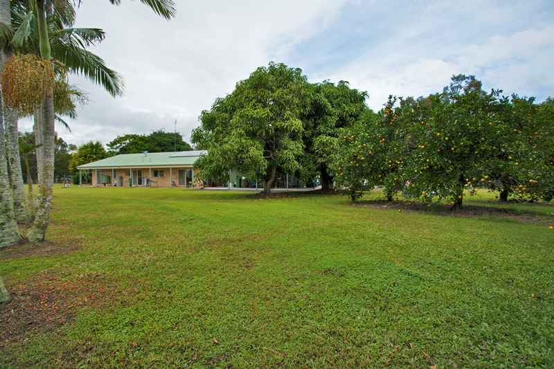 Image 10