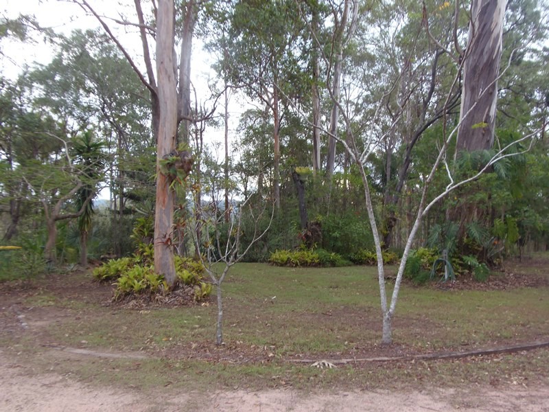 Image 24