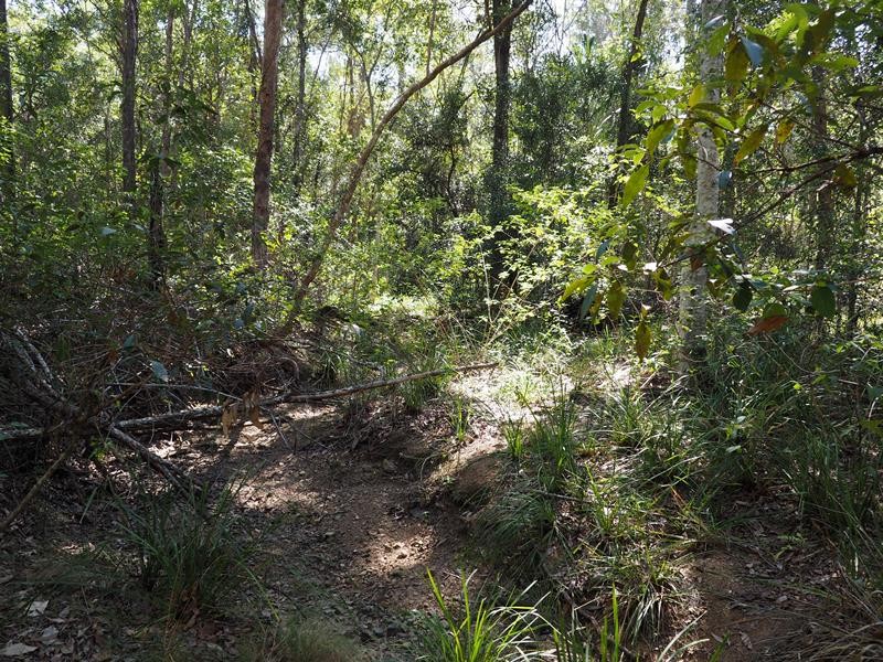 Image 18