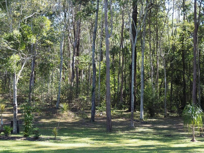 Image 19