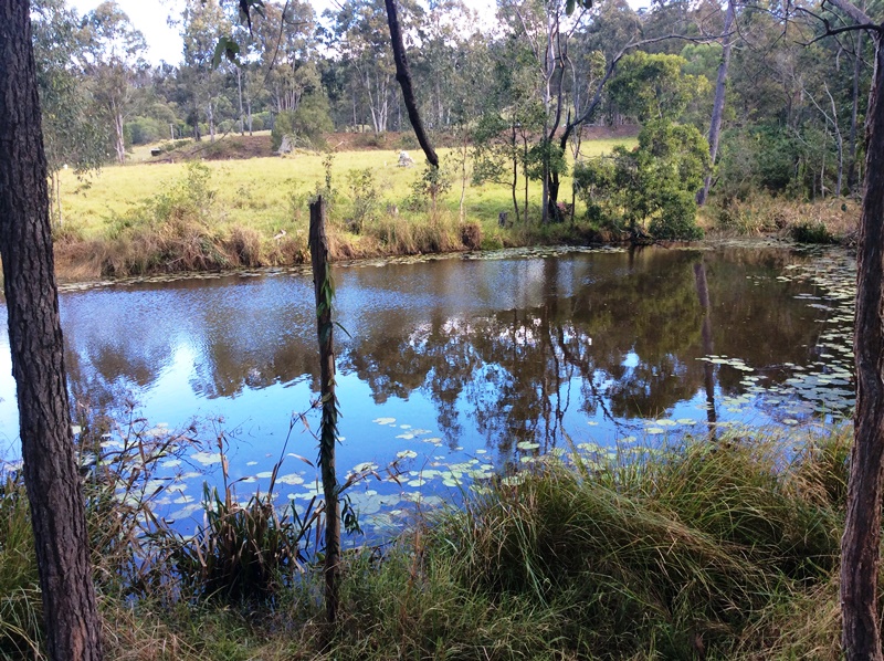 Image 11