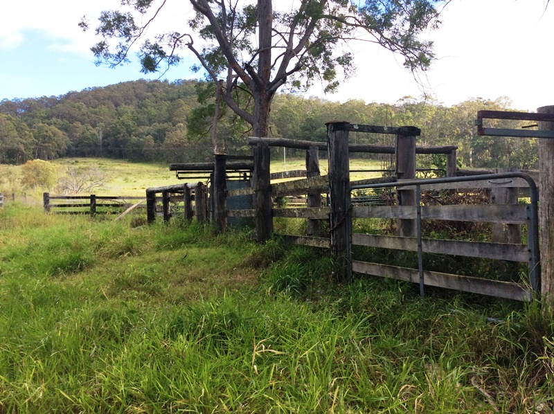 Image 12