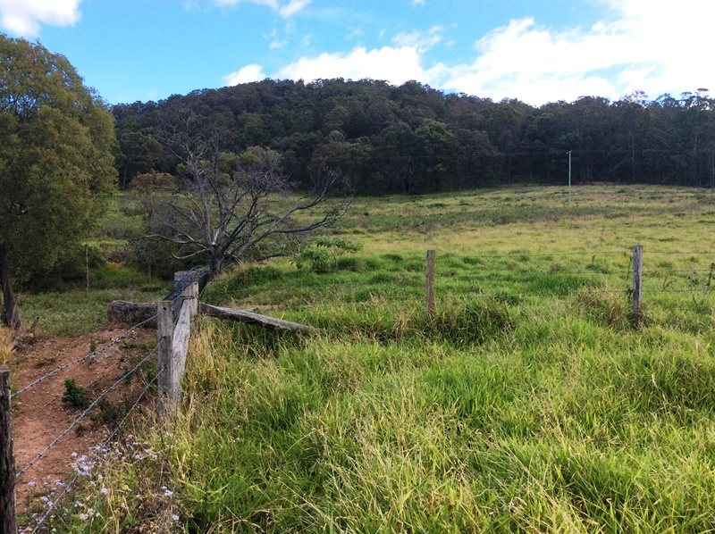Image 6