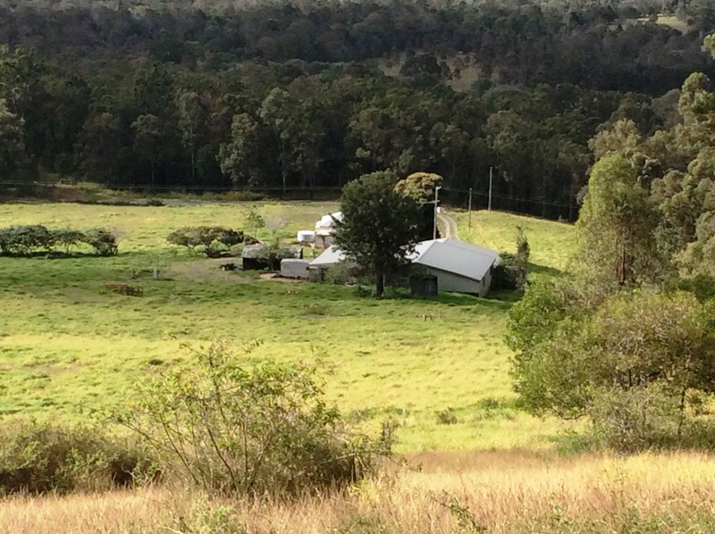 Image 7