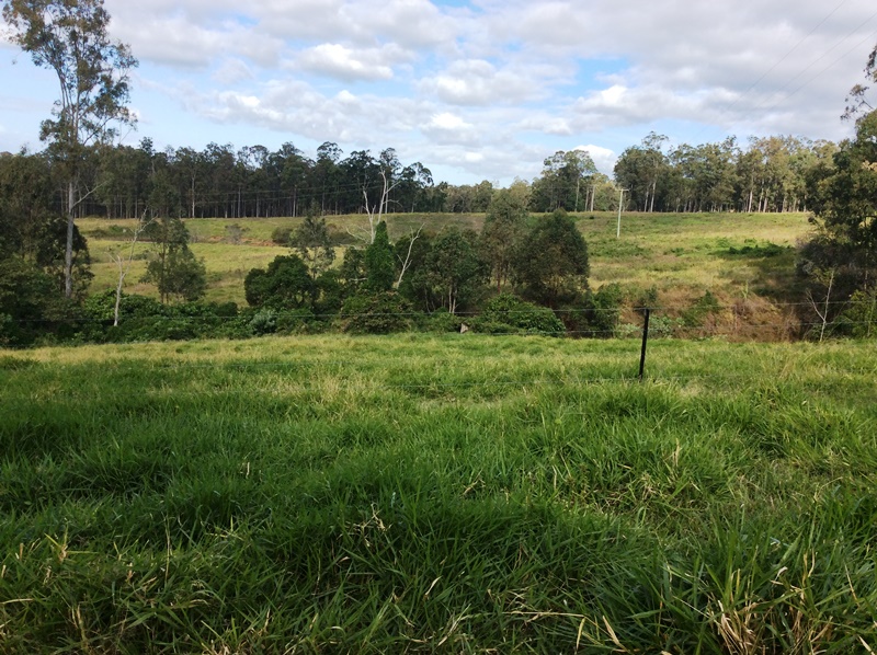 Image 10